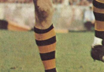 1973 Scanlens VFL #47 Gordon Lindquist Back